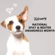 February is Spay & Neuter Awareness Month