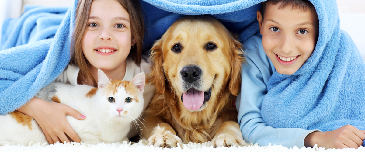 Animal Services - Adoption